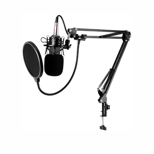 Micrófono Condensador con Brazo soporte Antipop BM800A